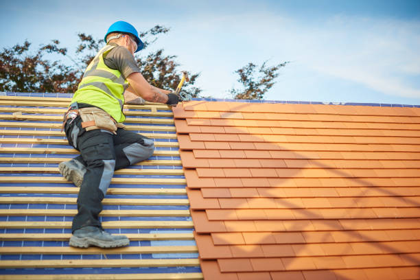 Best Roof Coating and Sealing  in Wolf Trap, VA